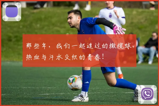 那些年,我们一起追过的橄榄球,热血与汗水交织的青春!